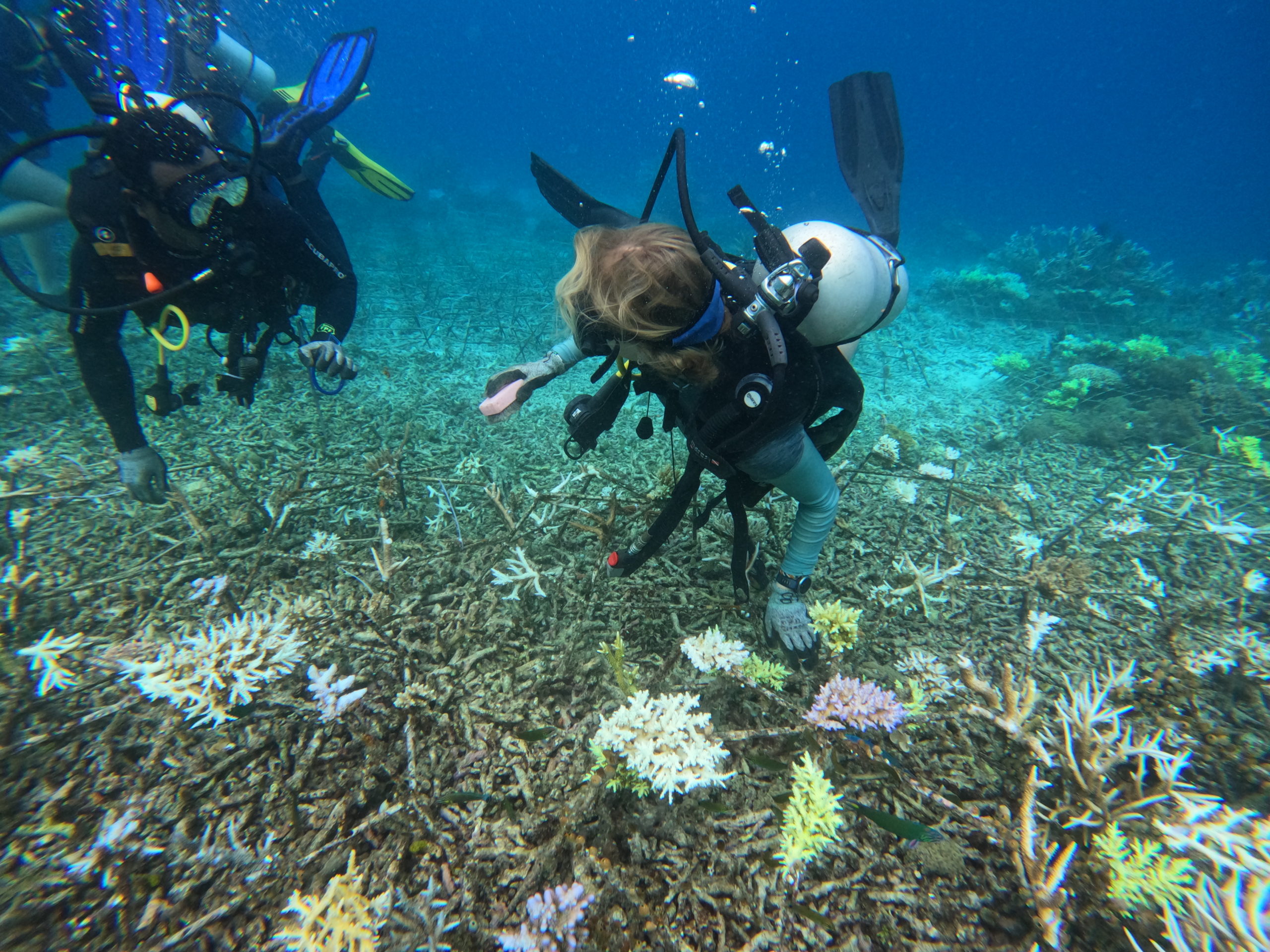 DCIM100GOPROGOPR0103.JPG